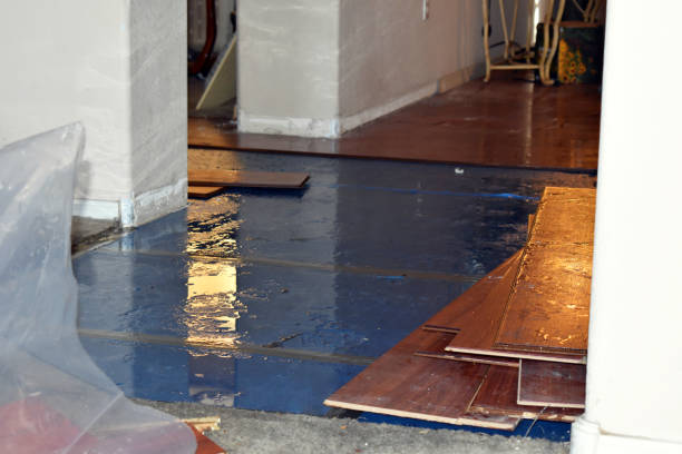 Professional Burst Pipe Cleanup technician working in Reva, VA