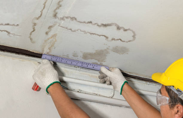 Reliable Burst Pipe Cleanup contractor in Reva, VA by Water Damage Irwin